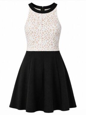 ABS by Allen Schwartz Black White Halter Lace Overlay Fit & Flare Cocktail Dress